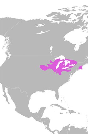 Blanding's turtle range