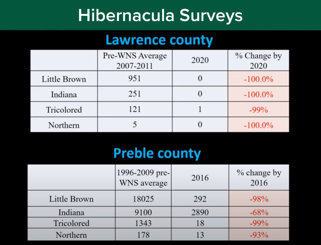 Only a single bat was found last year in an Ohio cave previously known to host about 1,300 hibernating bats per year. Data courtesy the Ohio Department of Natural Resources.