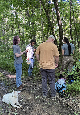 The research team prepares to check one of their forested sites.