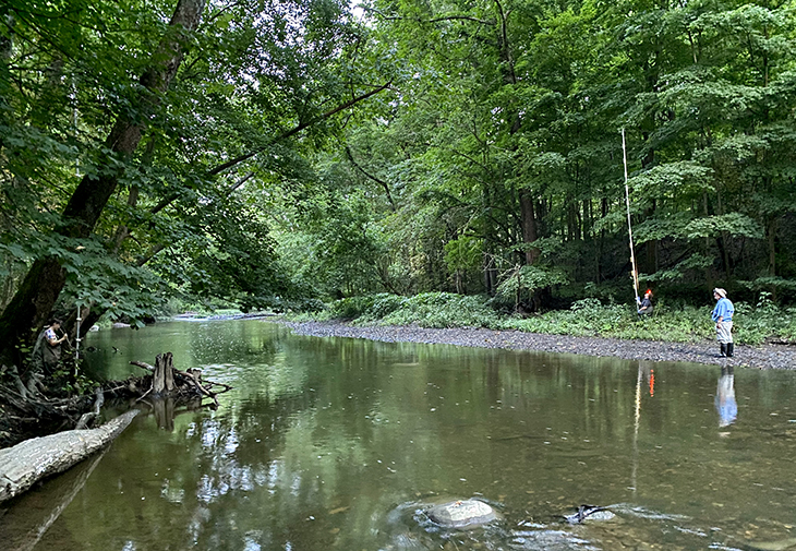 Mist nets, like the one pictured here over the stream, are nearly invisible and contain small pockets to capture bats who fly by. 